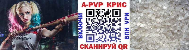 A PVP СК КРИС  Санкт-Петербург 
