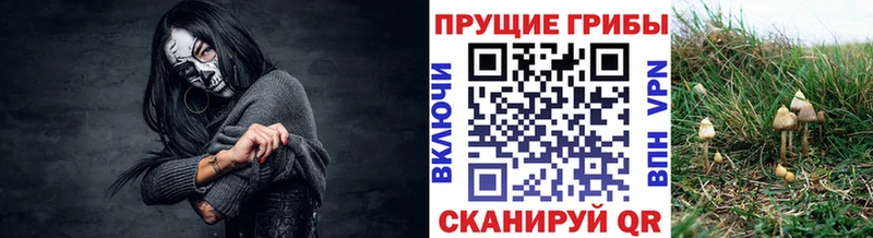 Галлюциногенные грибы Magic Shrooms  Санкт-Петербург 