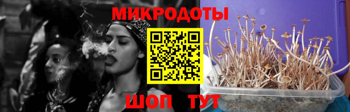 Галлюциногенные грибы GOLDEN TEACHER Санкт-Петербург